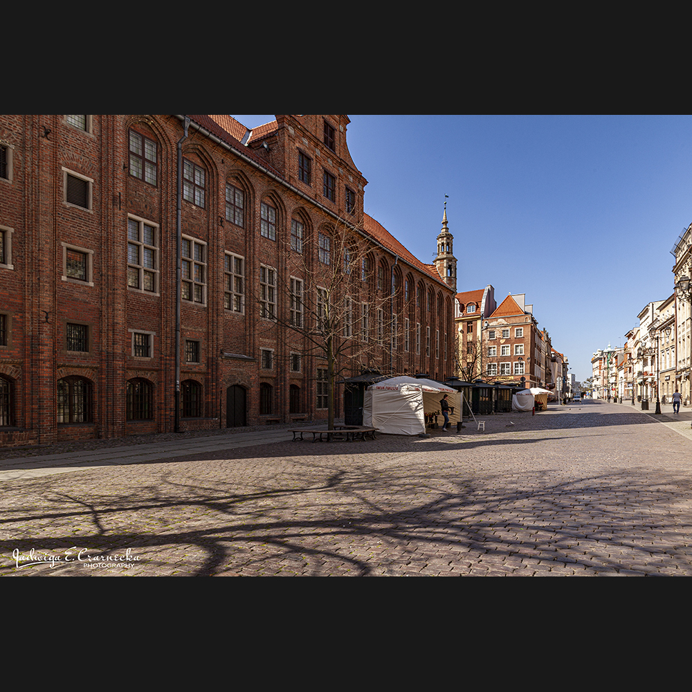 _MG_0304